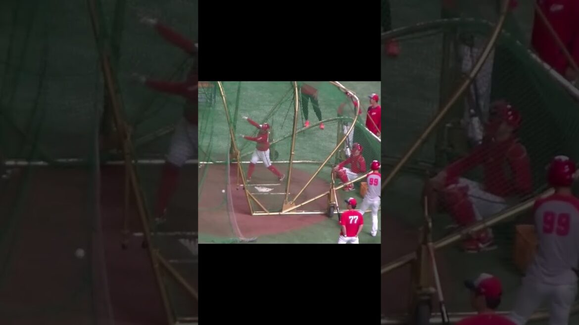 広島 羽月隆太郎のフリーバッティング（2024年6月28日読売ジャイアンツ対 広島カープ）