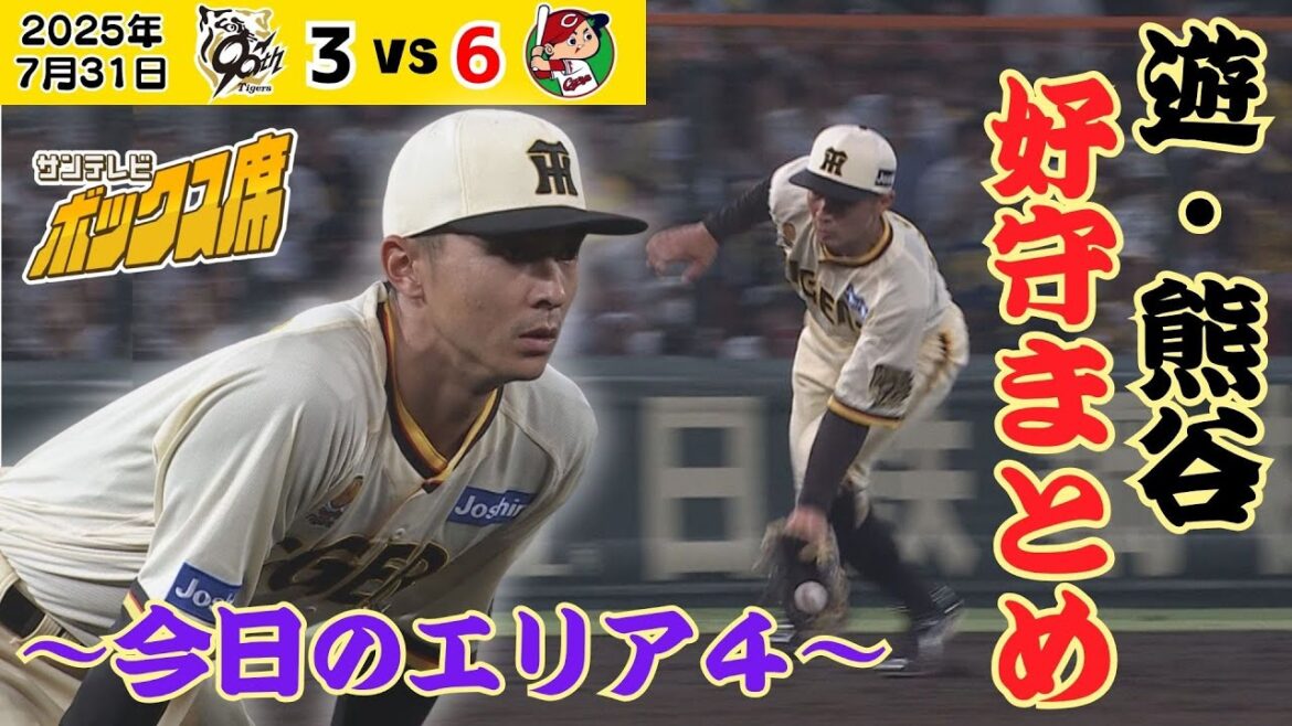 【今日のエリア4】ショート熊谷 今日も安定した守備でピッチャーを支える!(2025年7月31日 阪神ー広島) #サンテレビボックス席 【今日のエリア4】ショート熊谷 今日も安定した守備でピッチャーを支える!(2025年7月31日 阪神ー広島) #サンテレビボックス席