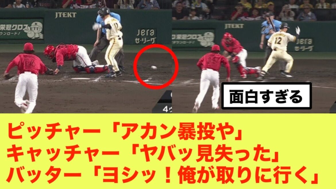 阪神タイガース 坂本誠志郎、大瀬良の暴投を条件反射で追いかけてしまうｗｗｗｗ