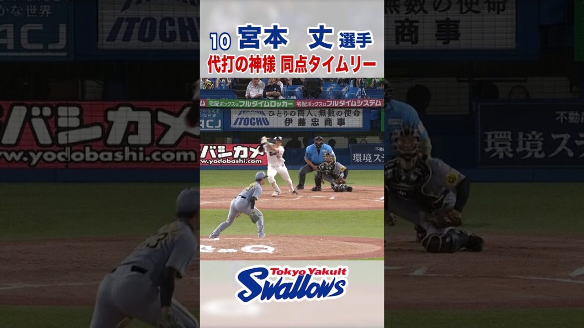 宮本丈選手 代打の神様 同点タイムリー #swallows #宮本丈 #shorts