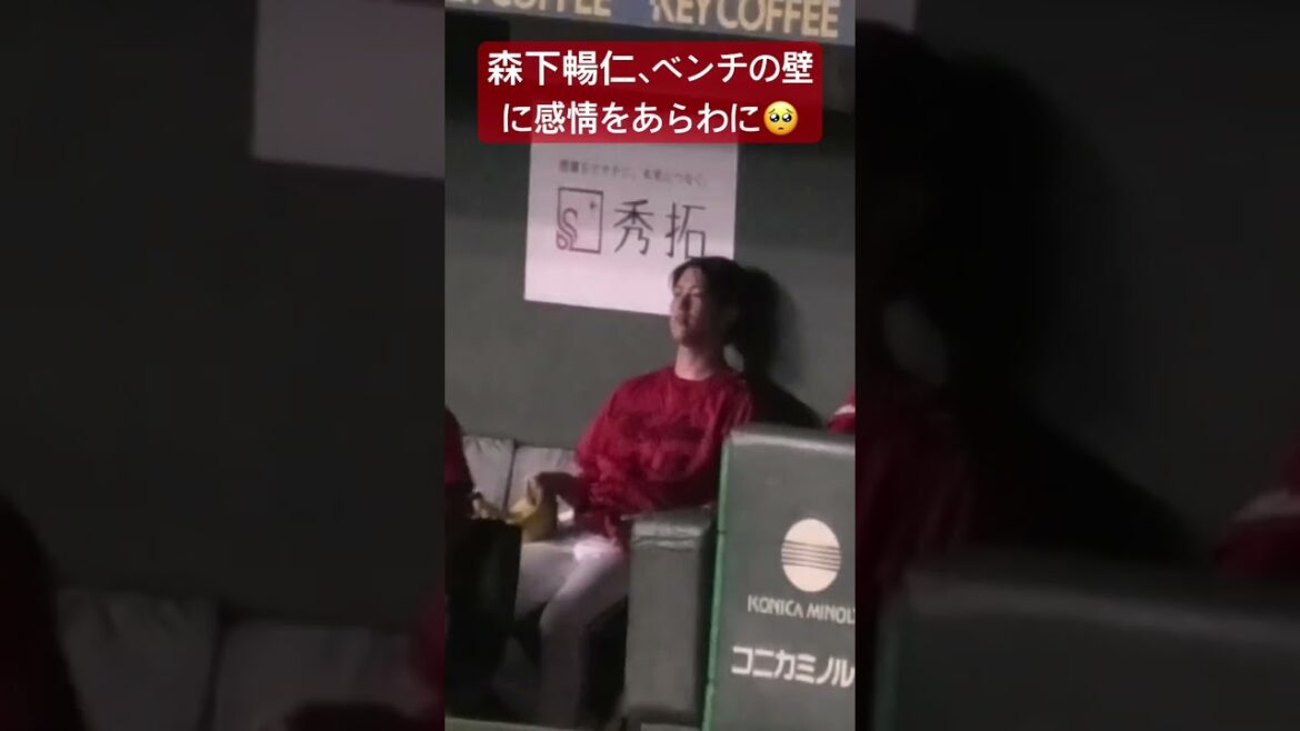 8回、森下暢仁が代打キャベッジの1発に泣く🥺ベンチの壁を叩き感情をあらわに悔しがる！広島東洋カープvs読売ジャイアンツ #shorts  2025年7月4日