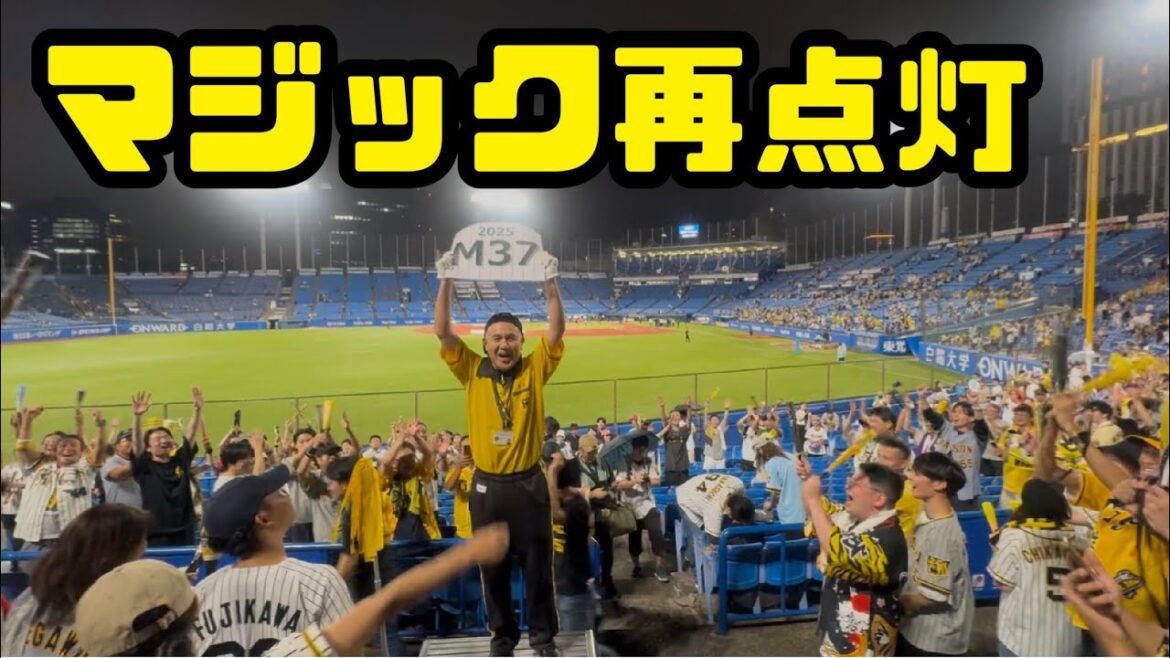 【M36】首位独走タイガース。マジック再点灯！！/強すぎる！！！！/佐藤輝明/伊藤将司/阪神タイガース/東京ヤクルトスワローズ/明治神宮野球場/関東虎党/岩崎優
