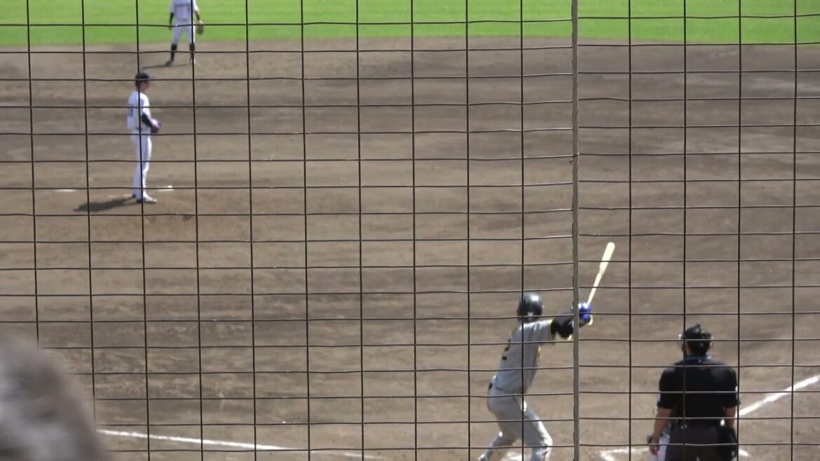 阪神タイガース 井上広大選手 第3打席 レフトフライ 2024/4/19 ちゅーるスタジアム VS くふうハヤテベンチャーズ 奥田域太投手