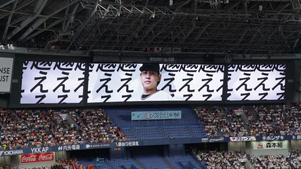 2025 オリックス バッファローズ 宮城大弥 登場曲+演出 오릭스버팔로즈 미야기히로야 등장곡 + 연출