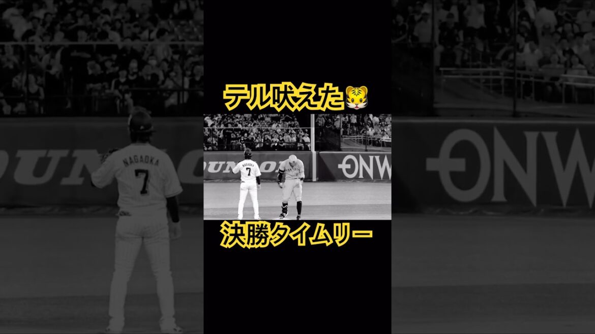 サトテル吠えた。 #阪神タイガース #佐藤輝明 #吠えた #shorts の