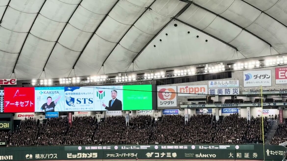 千葉ロッテマリーンズ チャンステーマ6