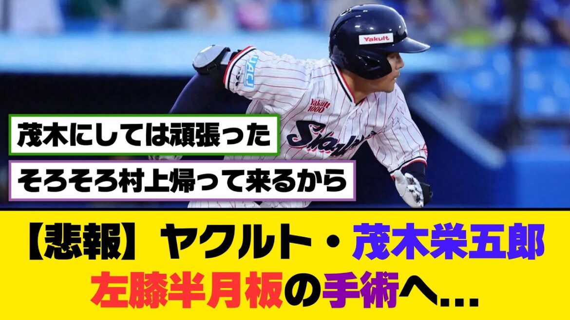 【悲報】ヤクルト・茂木栄五郎、左膝半月板の手術へ…【5ch/2ch】【なんj/なんg】【反応集】 【悲報】ヤクルト・茂木栄五郎、左膝半月板の手術へ...【5ch/2ch】【なんj/なんg】【反応集】