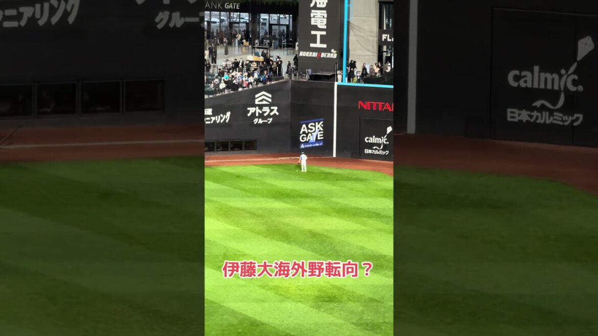 伊藤大海が遠投をしていた