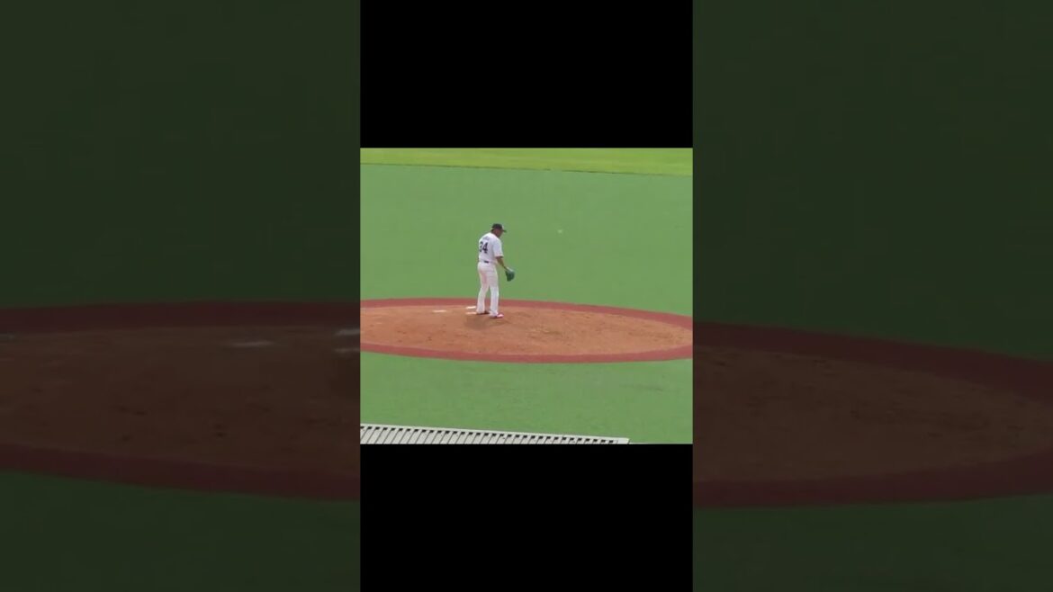 ヤクルト田口麗斗ピッチングフォーム＜2軍・ヤクルトスワローズ対 千葉ロッテマリーンズ  2024年5月12日＞