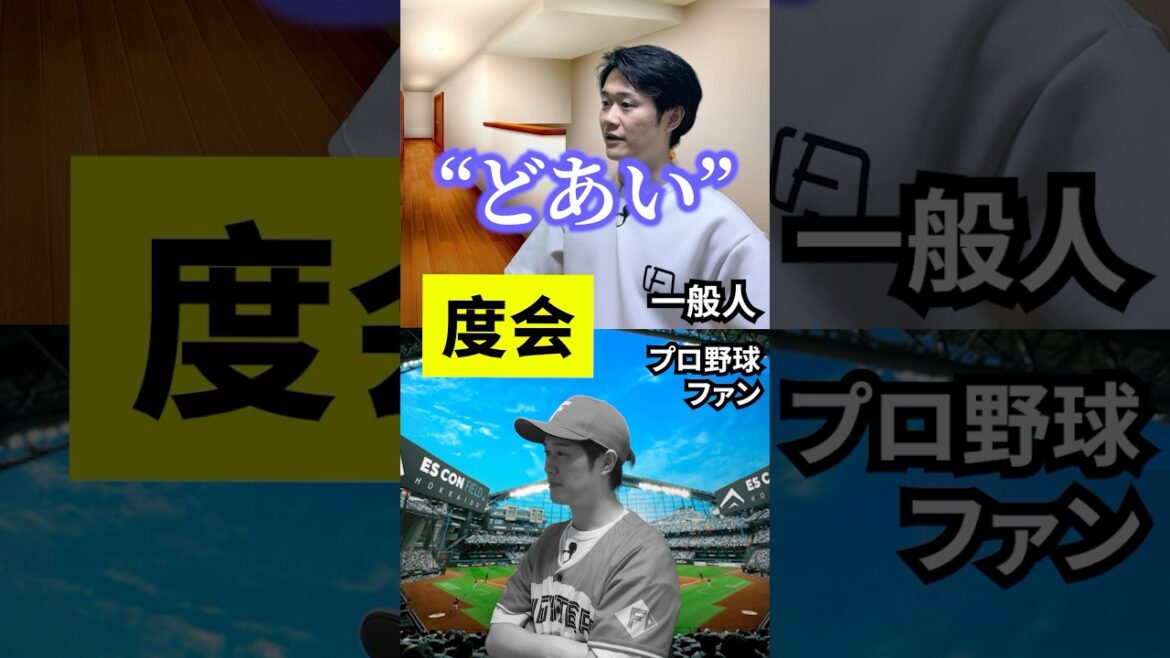 一般人とプロ野球ファンの違い
