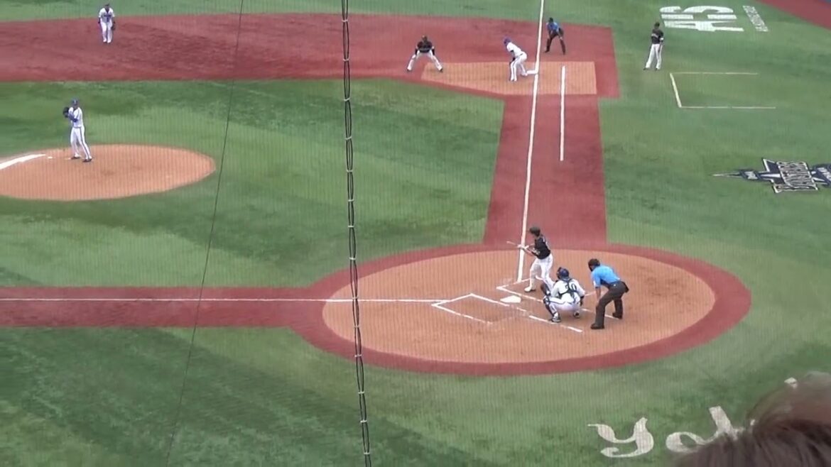 2024/6/9横浜戦 和田毅投手の打席送りバント 2024/6/9横浜戦 和田毅投手の打席送りバント