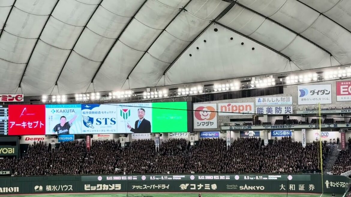 千葉ロッテマリーンズ チャンステーマ5