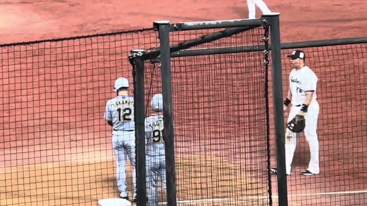 死球を受けた坂本誠志郎！一塁に向かう