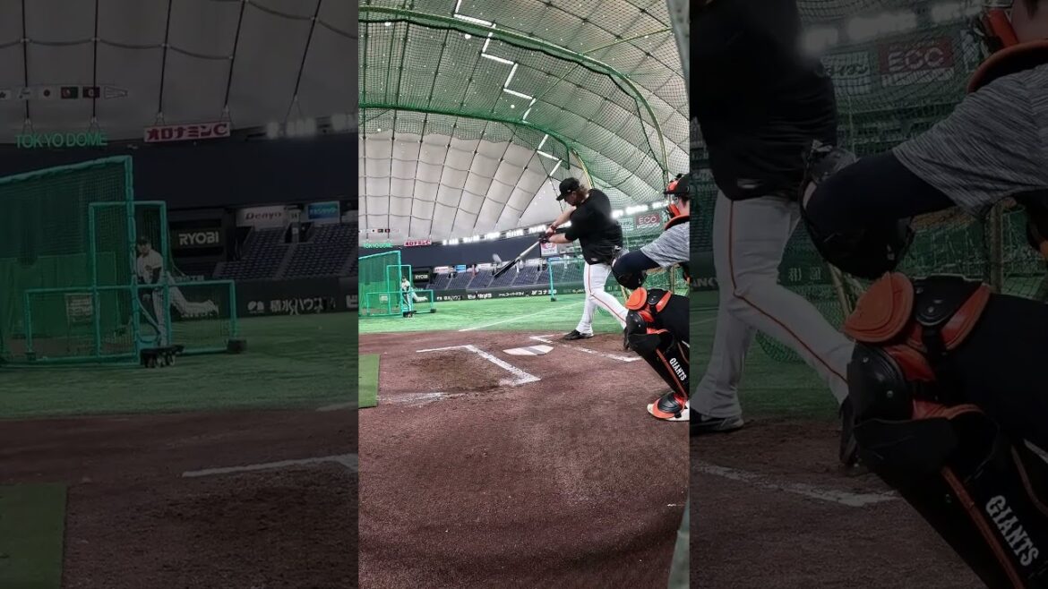 キャベッジ選手の打球音 #shorts