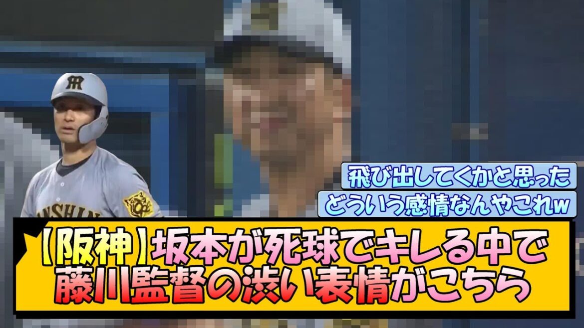 【阪神】坂本が死球でキレる中で藤川監督の渋い表情がこちら 【阪神】坂本が死球でキレる中で藤川監督の渋い表情がこちら
