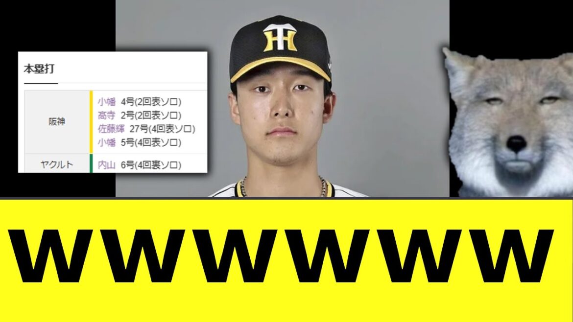 阪神vsヤクルト　カオスｗｗｗ