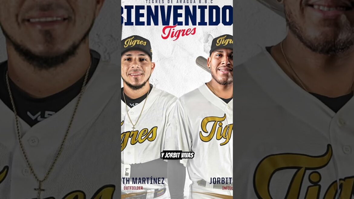 Megacambio entre los Tigres y las Águilas 👀🇻🇪⚾.#venezuela #mlb #lvbp #beisbol  #zulia #aragua