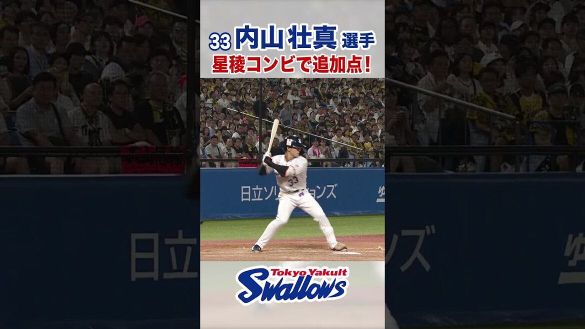 内山壮真選手 星稜コンビで追加点！ #swallows #内山壮真 #shorts