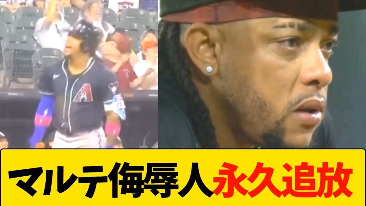 ケテル・マルテを侮辱人物MLB永久追放 ケテル・マルテを侮辱人物MLB永久追放