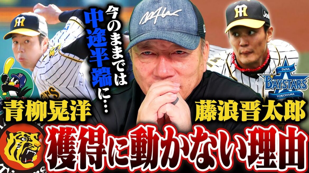【考察】なぜ阪神は青柳晃洋と藤浪晋太郎を獲得しなかったのか？チーム状況から考える"功労者"獲得の難しさについて語る‼︎