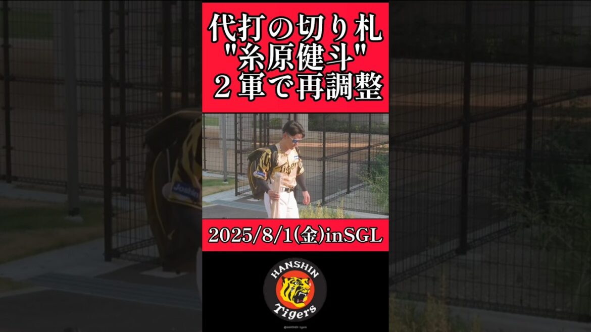 【阪神】"糸原健斗"２軍で再調整！ #阪神 #阪神タイガース #糸原健斗 #shorts