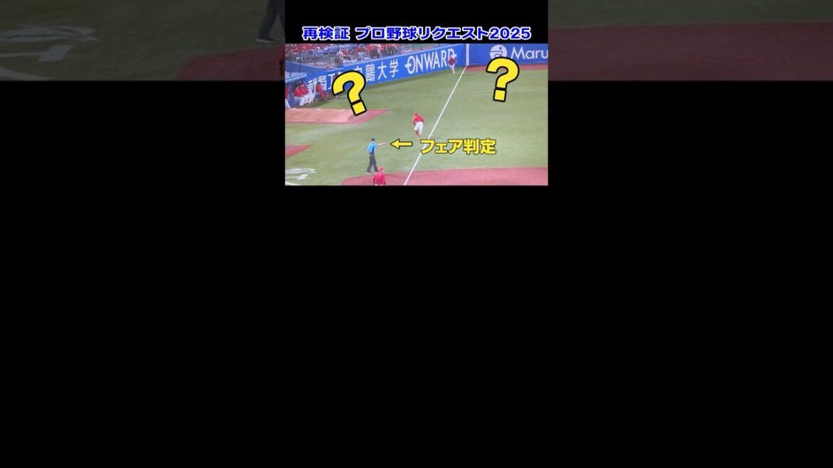 審判判断のリプレー検証！東京ヤクルト赤羽選手の一打は同点三塁打か？逆転サヨナラ本塁打か？【プロ野球リクエスト】