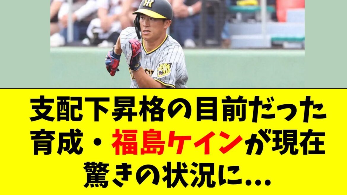 【阪神】育成の福島圭音の最新の状況がこちら・・・