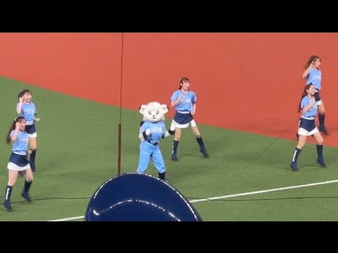 ライオンズフェスティバルズ2025 サマーブルーユニフォームの『吠えろライオンズ』【西武vsロッテ】2025/8/2 ライオンズフェスティバルズ2025 サマーブルーユニフォームの『吠えろライオンズ』【西武vsロッテ】2025/8/2