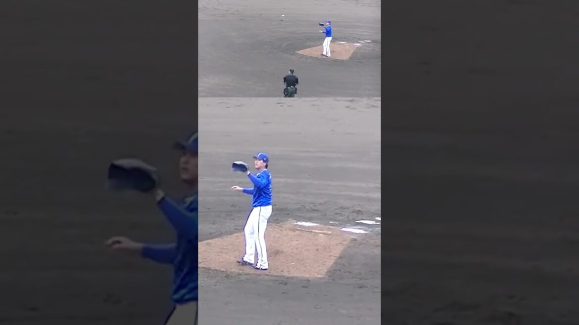 上茶谷大河の投球フォームと球筋【日本ハムファイターズ対 横浜DeNAベイスターズ2024年5月8日】