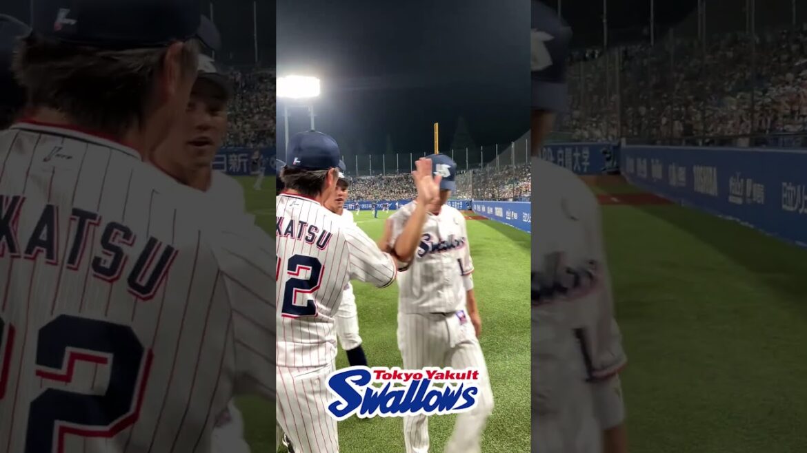 勝利後のハイタッチ #swallows #shorts