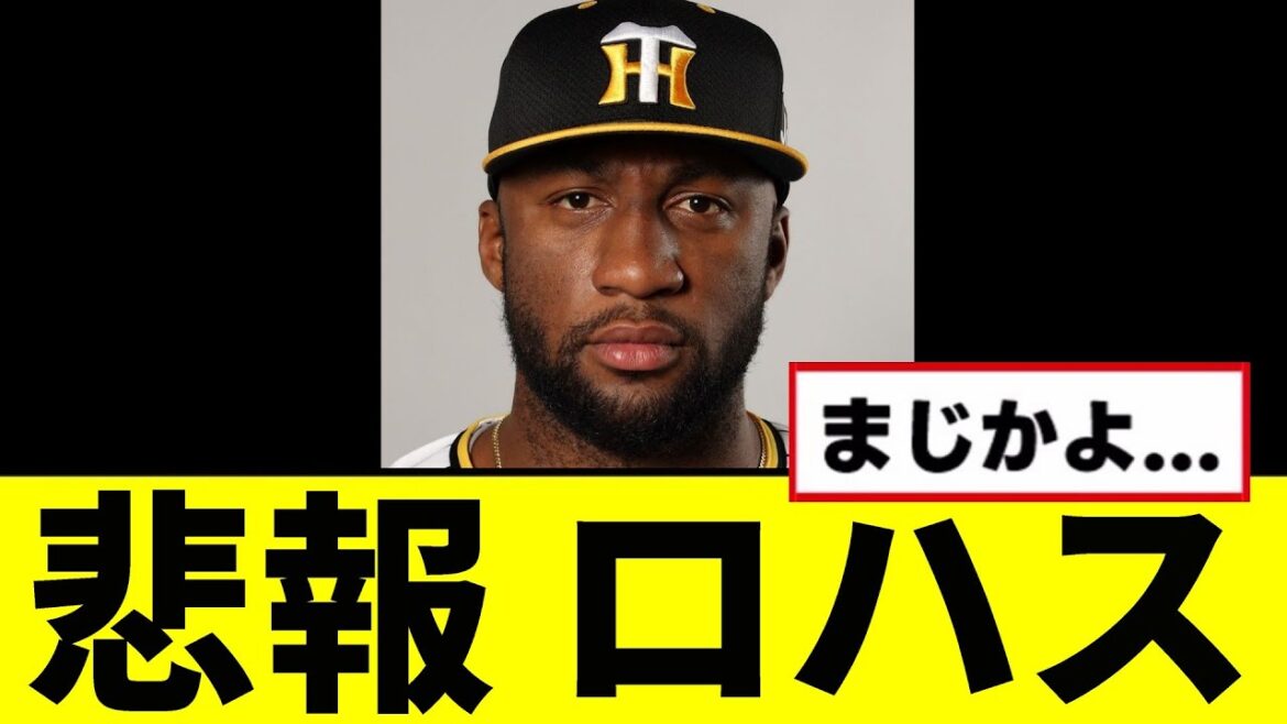 【悲報】ロハスがとんでもない事に… 【悲報】ロハスがとんでもない事に...