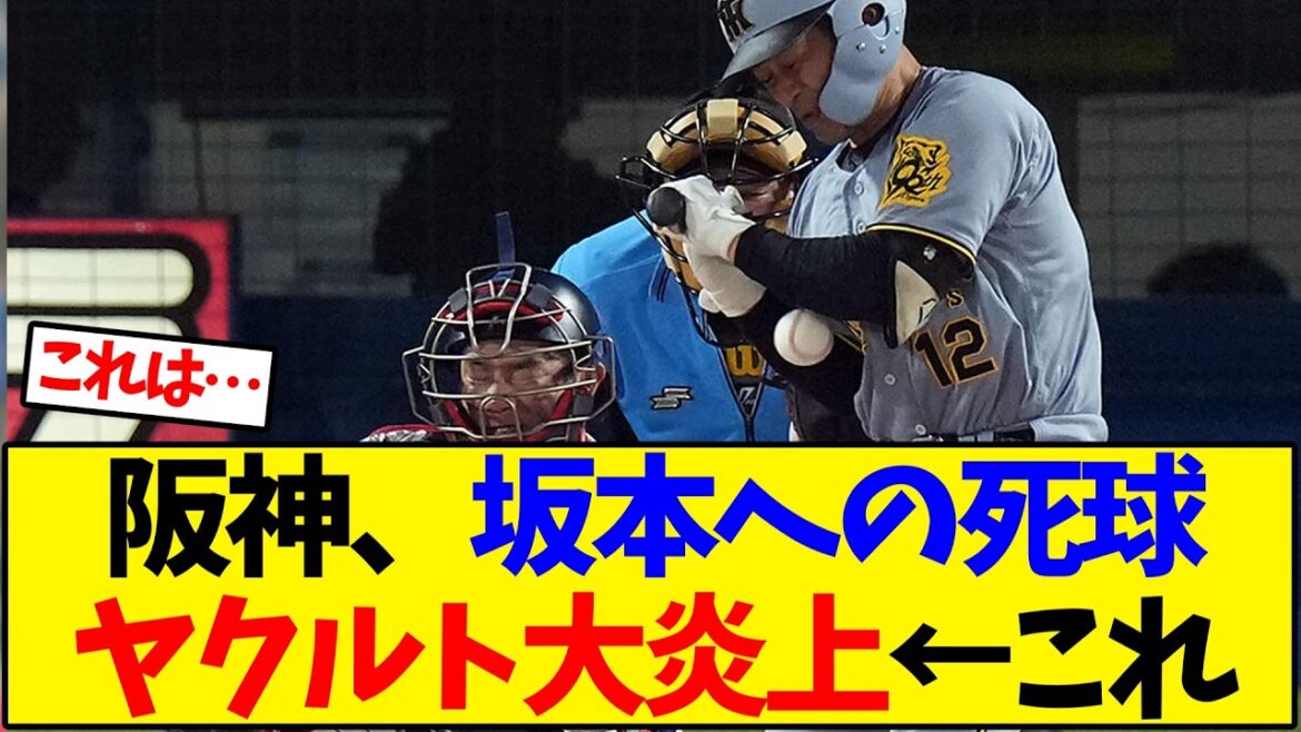 【阪神タイガース 】 坂本誠志郎への死球でヤクルト大炎上←これ【野球反応集】