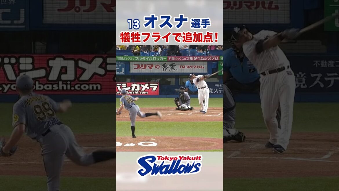 オスナ選手 犠牲フライで追加点！ #swallows #オスナ #shorts