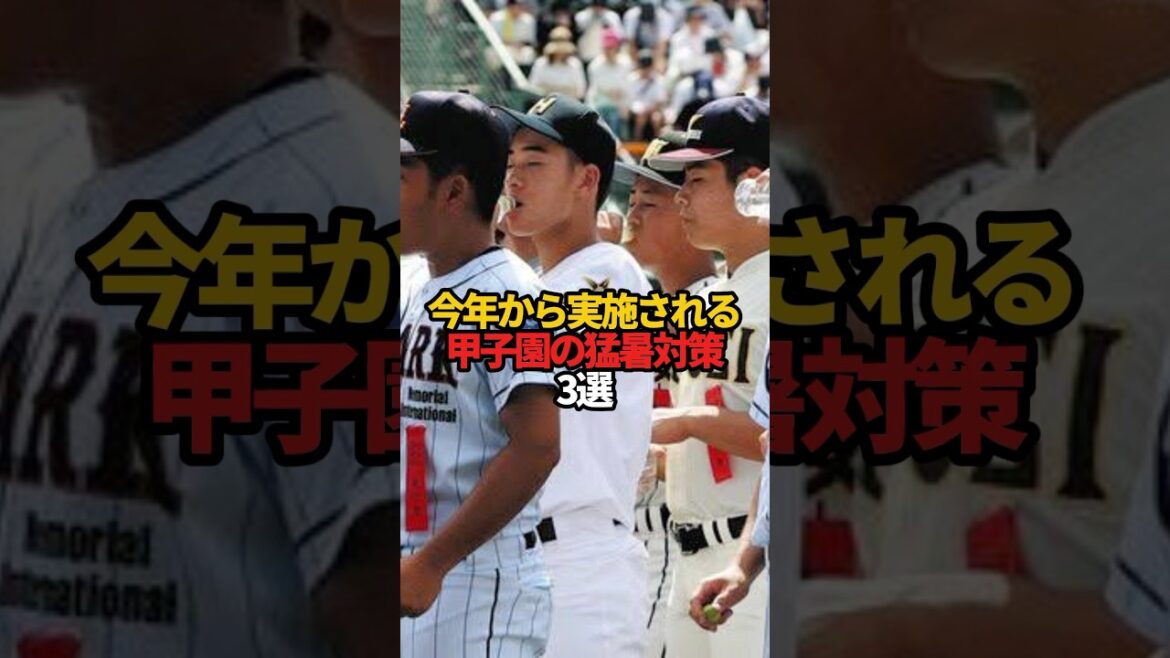 今年から実施される甲子園の猛暑対策 3選#sports #shorts #高校野球 #甲子園 #野球 #やきゅスト