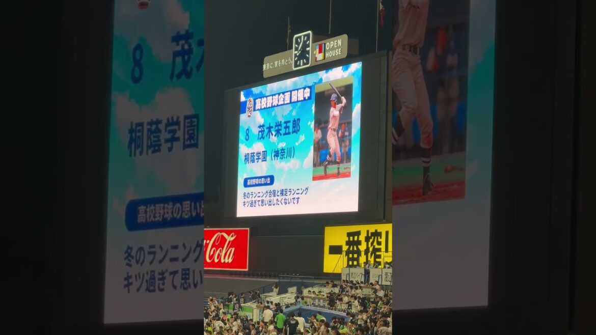 茂木栄五郎！ヤクルトスワローズ