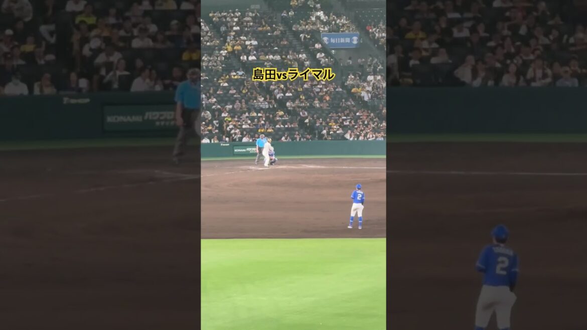 #島田海吏 12回の打席