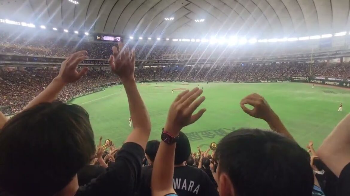 【千葉ロッテ】2025/7/31東京ドーム開催/ホームランワイパー/山本大斗 【千葉ロッテ】2025/7/31東京ドーム開催/ホームランワイパー/山本大斗