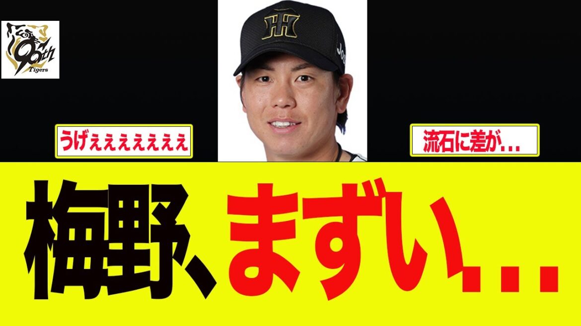 【阪神】梅野、まずい状況になる　阪神ファンの反応集