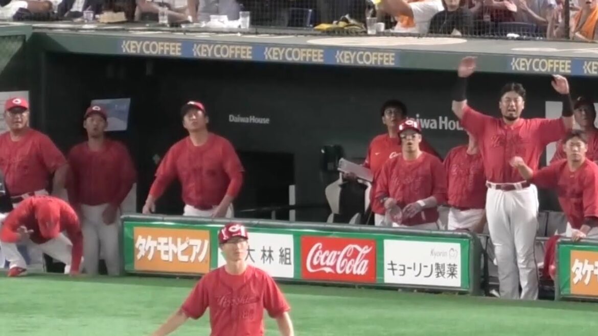 8回二死二塁、中村奨成のレフトへの打球に超絶残念がるカープベンチ！広島東洋カープvs読売ジャイアンツ 2025年7月4日
