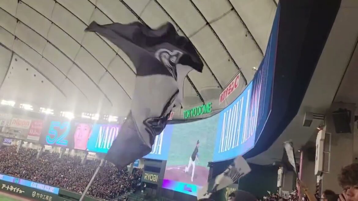 【千葉ロッテ】2025/7/31東京ドーム開催/益田直也登場演出！