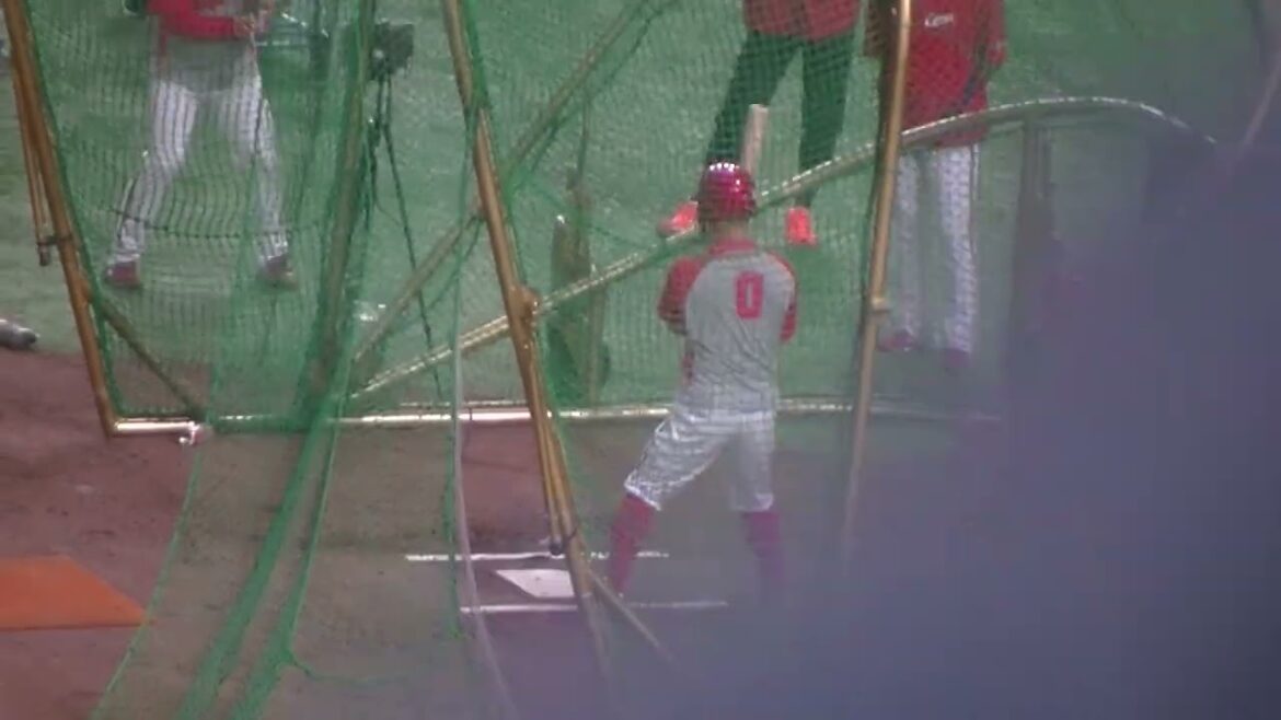 カープ上本崇司フリーバッティング2024年8月20日 東京ドーム