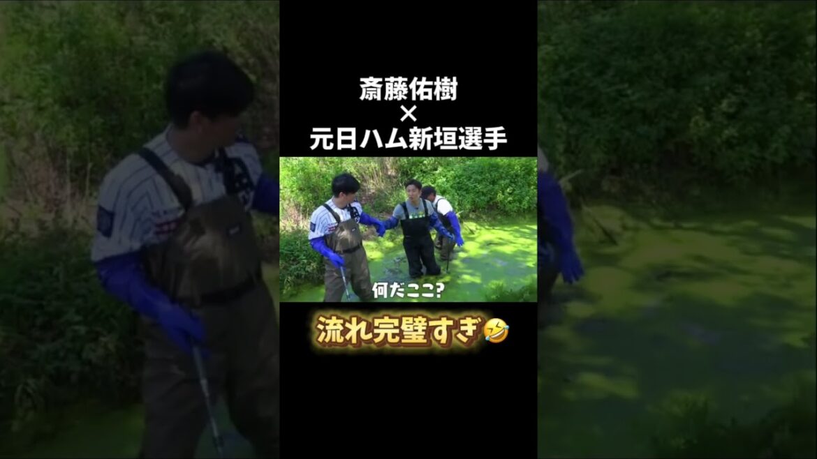 斎藤佑樹野球場プロジェクトチャンネルの切り抜きチャンネルです。斎藤佑樹×元日ハム新垣選手！完璧すぎる流れに注目🤣 #斎藤佑樹 #野球 #お笑い