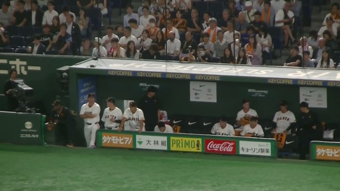 坂本勇人の打球に反応する中山礼都などベンチの選手たち（読売ジャイアンツ対 西武ライオンズ 2025年6月20日）