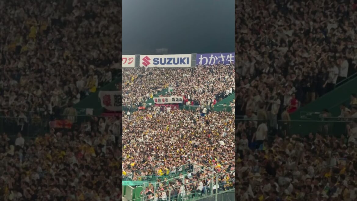 #森友哉 DEEP RED #交流戦 #オリックスバファローズ