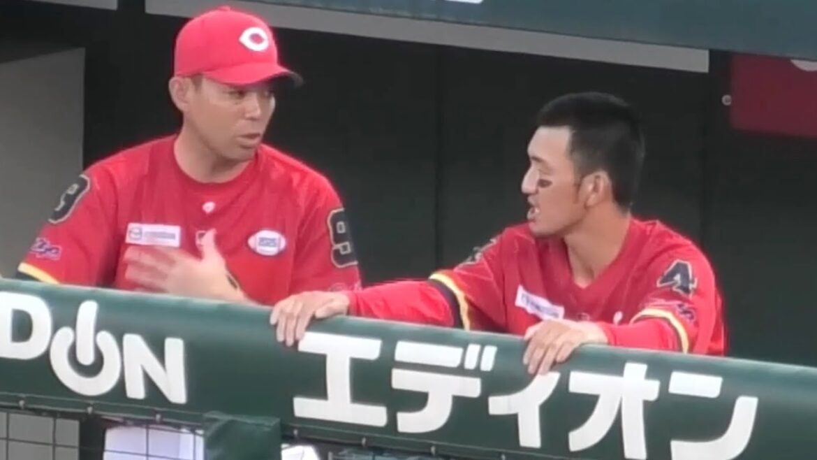 矢野雅哉が秋山翔吾の横に座り積極的に助言を求める！広島東洋カープvs中日ドラゴンズ 2025年8月3日