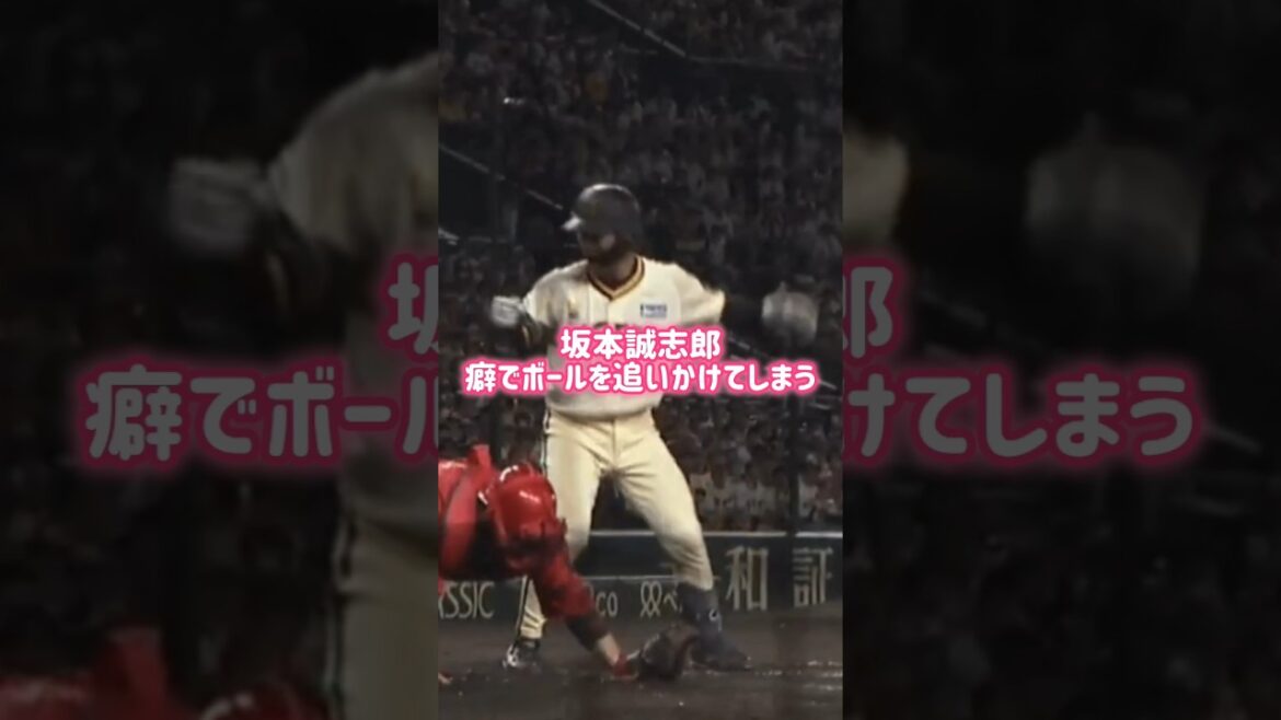 坂本誠志郎、つい癖でボールを追いかけてしまう #阪神 #面白い #坂本誠志郎