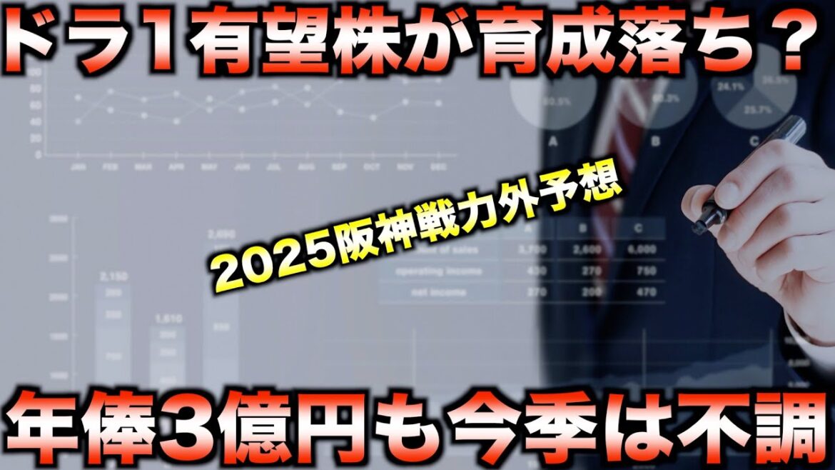 【チーム年俸3位が自由契約?】2025年阪神タイガースの戦力外選手予想!【プロ野球】 【チーム年俸3位が自由契約?】2025年阪神タイガースの戦力外選手予想!【プロ野球】