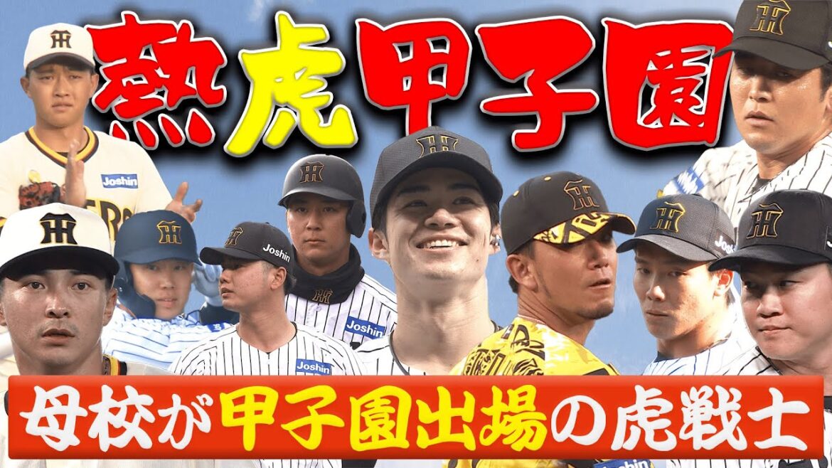 【熱虎甲子園2025】高校野球のシーズン到来!母校が甲子園に出場するタイガースの選手の2025年の甲子園での活躍シーンをお届け!阪神タイガース密着!応援番組「虎バン」ABCテレビ公式チャンネル 【熱虎甲子園2025】高校野球のシーズン到来!母校が甲子園に出場するタイガースの選手の2025年の甲子園での活躍シーンをお届け!阪神タイガース密着!応援番組「虎バン」ABCテレビ公式チャンネル