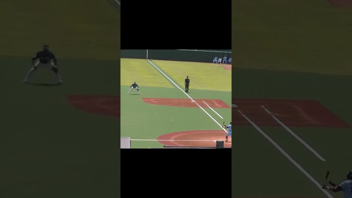 三ツ俣大樹セカンドゴロ 金子功児のセカンド守備＜2軍・ヤクルトスワローズ対 西武ライオンズ  2024年5月26日＞