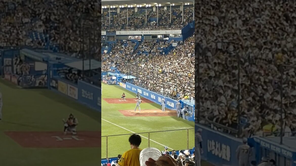 神宮球場プルペンで投球練習を行う桐敷拓馬と湯浅京己